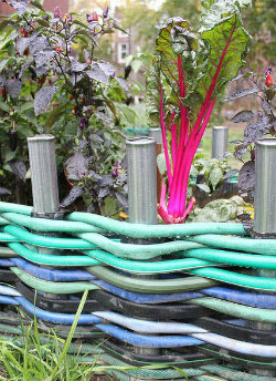 Recycled Hose weaved to make a garden edge to a flower bed